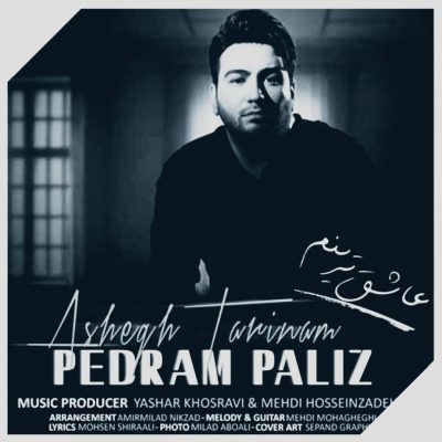 دانلود آهنگ پدرام پالیز عاشقترینم Pedram Paliz Asheghtarinam