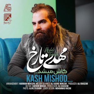 دانلود آهنگ مهدی تارخ کاش میشد Mehdi Tarokh Kash Mishod