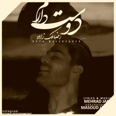 دانلود آهنگ رضا ملک زاده دوست دارم Reza Malekzadeh Dooset Daram