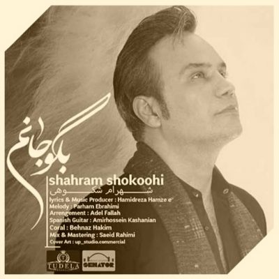 دانلود آهنگ شهرام شکوهی بگو جانم Shahram Shokoohi Begoo Janam