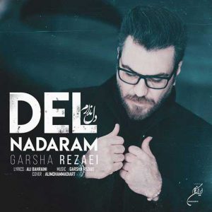 دانلود آهنگ گرشا رضایی دل ندارم Garsha Rezaei Del Nadaram