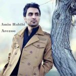 دانلود آهنگ امین حبیبی آرزو Amin Habibi Arezoo