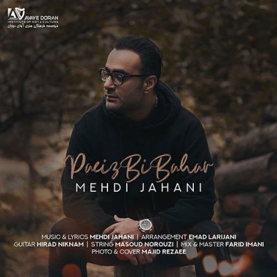 دانلود آهنگ مهدی جهانی پاییز بی بهار Mehdi Jahani Paeize Bi Bahar