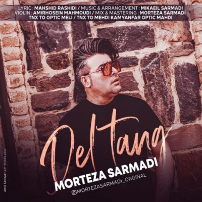 دانلود آهنگ مرتضی سرمدی دلتنگ Morteza Sarmadi Deltang