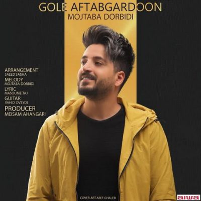 دانلود آهنگ مجتبی دربیدی گل آفتابگردون Mojtaba Dorbidi Gole Aftabgardoon