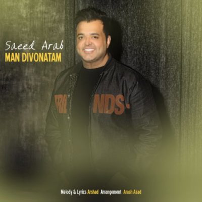 دانلود آهنگ سعید عرب من دیوونتم Saeed Arab Man Divoonatam