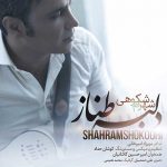 دانلود آهنگ شهرام شکوهی دلبر طناز Shahram Shokoohi Delbare Tanaz