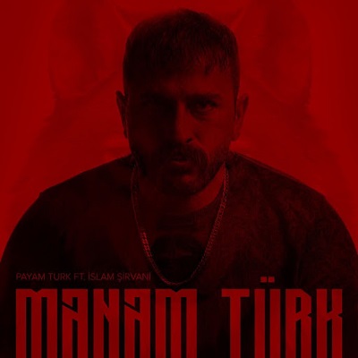 دانلود آهنگ پیام تورک منم تورک Payam Turk Manam Turk دانلود آهنگ پیام تورک منم تورک Payam Turk Manam Turk