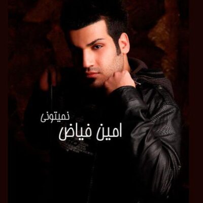 دانلود آهنگ امین فیاض نمیتونی Amin Fayyaz Nemitooni