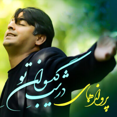 دانلود آهنگ پرواز همای در شب گیسوان تو Parvaz Homay Dar Shab Gisovan To