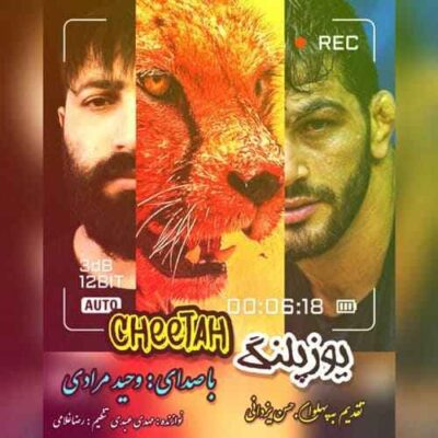 دانلود آهنگ وحید مرادی یوزپلنگ Vahid Moradi Cheetah دانلود آهنگ وحید مرادی یوزپلنگ Vahid Moradi Cheetah