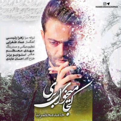 دانلود آهنگ حامد محضرنیا کجا میخوای بری Hamed Mahzarnia Koja Mikhay Beri