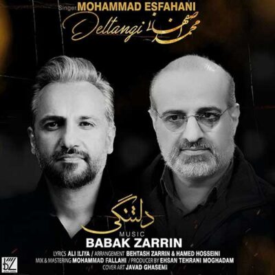 دانلود آهنگ محمد اصفهانی دلتنگی Mohammad Esfahani Deltangi