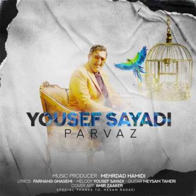 دانلود آهنگ یوسف صیادی پرواز Yousef Sayyadi Parvaz