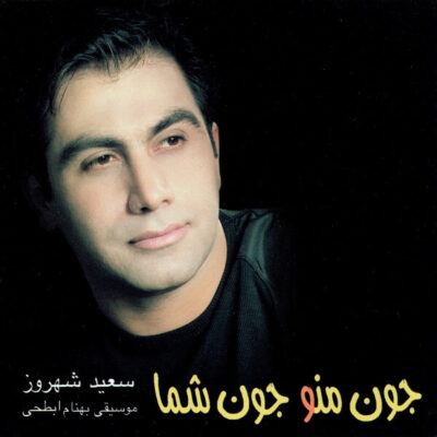 دانلود آهنگ سعید شهروز دروغه Saeid Shahrouz Dorooghe