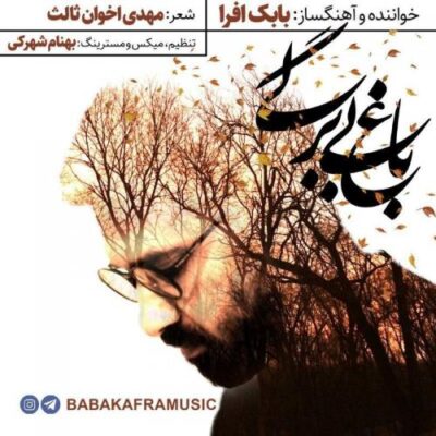 دانلود آهنگ بابک افرا باغ بی برگی Babak Afra Baghe Bi Bargi