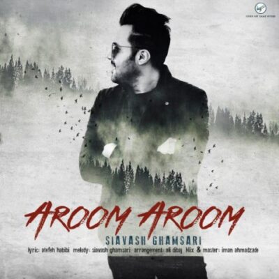 دانلود آهنگ سیاوش قمصری آروم آروم Siavash Ghamsari Aroom Aroom