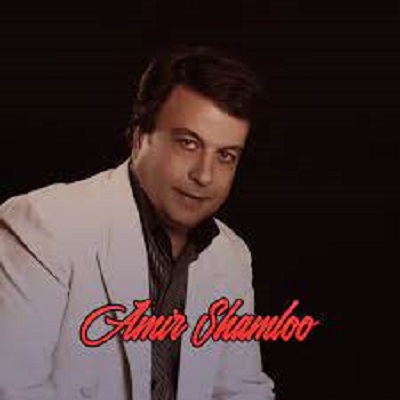 دانلود آهنگ امیر شاملو دروغ بود Amir Shamloo Dorough Bood
