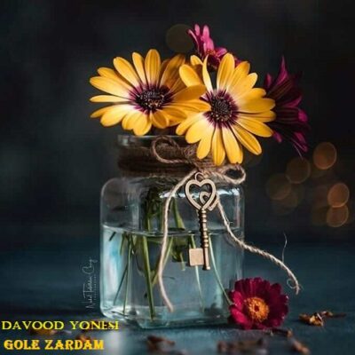 دانلود آهنگ داوود یونسی گل زردم Davood Yonesi Gole zardam