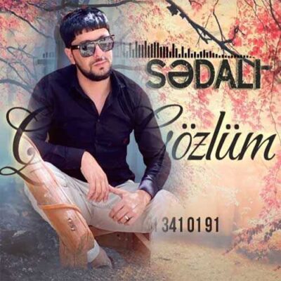 دانلود آهنگ تورال صدالی قارا گوزلوم Tural Sedali Qara Gozlum دانلود آهنگ تورال صدالی قارا گوزلوم Tural Sedali Qara Gozlum