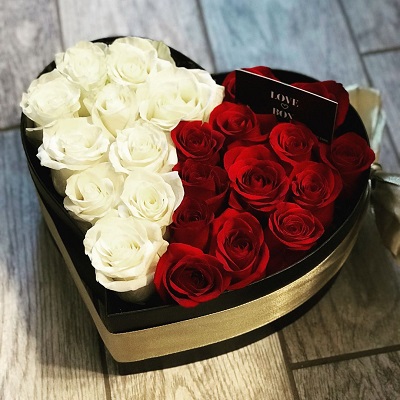 دانلود آهنگ تو صدات برای من لالاییه