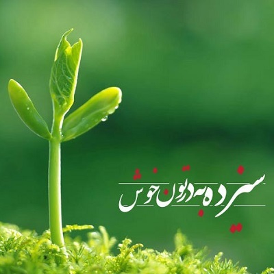 دانلود ریمیکس پادکست سیزده بدر میکس 1404 دی جی طاها