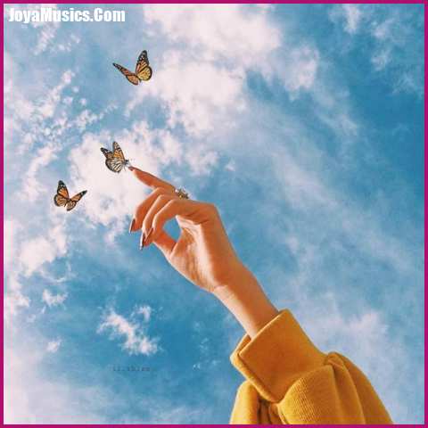 دانلود آهنگ یادت نره دوست دارم خیلی دلم تنگه برات