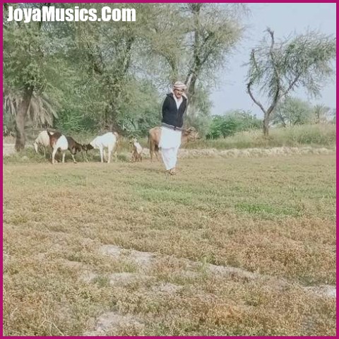دانلود آهنگ بارگ بلنده بروان کمنده