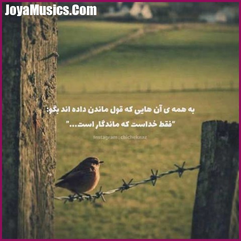 دانلود آهنگ عروس رفته گل بچینه بگین این دور بچینه دانلود آهنگ عروس رفته گل بچینه بگین این دور بچینه
