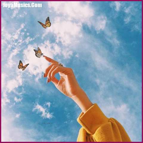 دانلود آهنگ مرد منه درمون درد منه دانلود آهنگ مرد منه درمون درد منه