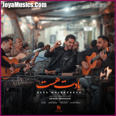 دانلود آهنگ رضا ملک زاده یادت هست