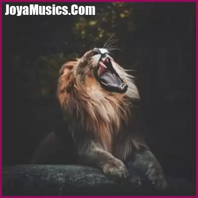 دانلود آهنگ یه چیزی تومه که بهم میگه شیر