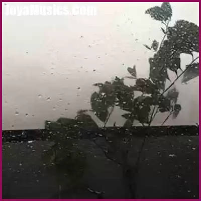 دانلود آهنگ واست آسون بود عشقم که الان بارون میباره