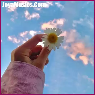 دانلود آهنگ زبونمو بستی با محبت ای یار دانلود آهنگ زبونمو بستی با محبت ای یار