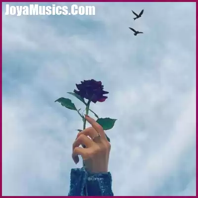 دانلود آهنگ لایک جنی