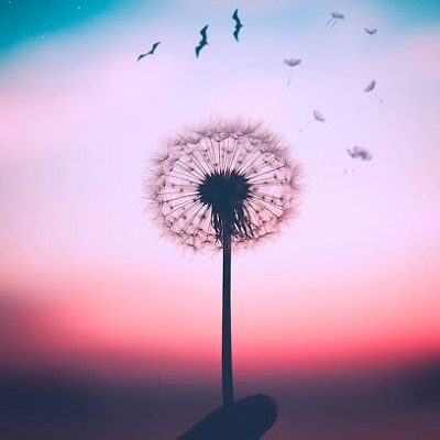 دانلود ریمیکس الو الو سلام سلام ترکی