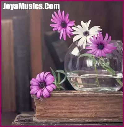 دانلود آهنگ غم پره تو هواش تلخ تر از الکل رو لباش