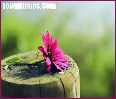 دانلود ریمیکس کج بیا بده قر قر قر دانلود ریمیکس کج بیا بده قر قر قر