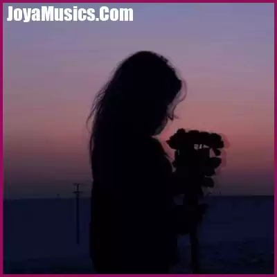 دانلود آهنگ شری شری لیدی