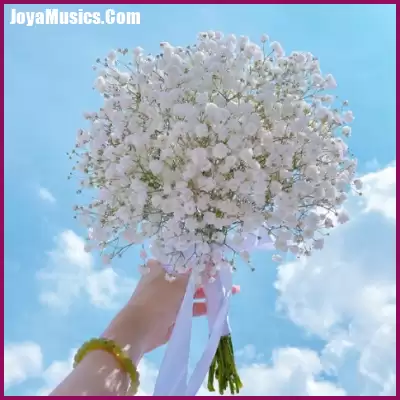 دانلود آهنگ بایلا بایلا چرا فسن دخملا دانلود آهنگ بایلا بایلا چرا فسن دخملا