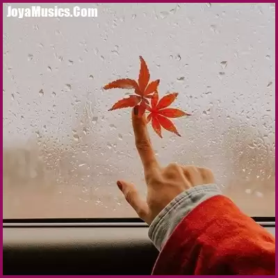 دانلود ریمیکس نخل و بلوط
