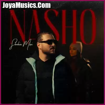 دانلود آهنگ شاهین میری نشو