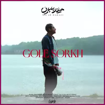 دانلود آهنگ میلاد بابایی گل سرخ دانلود آهنگ میلاد بابایی گل سرخ