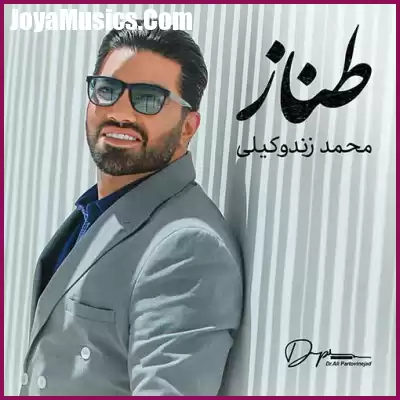 دانلود آهنگ محمد زند وکیلی طناز