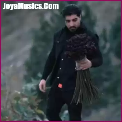 دانلود آهنگ میشه برگردی نگو دیره امیر لیام
