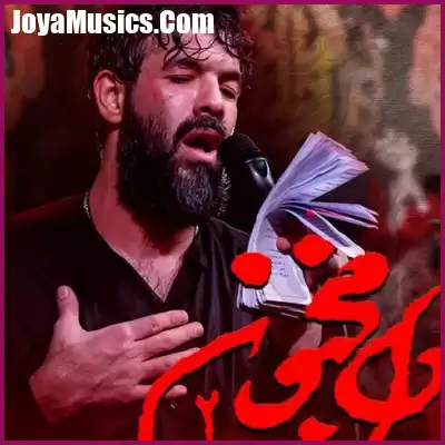 دانلود مداحی دل مجنون ۲ حسین ستوده دانلود مداحی دل مجنون ۲ حسین ستوده