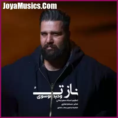دانلود آهنگ ناز تو وحید موسوی دانلود آهنگ ناز تو وحید موسوی
