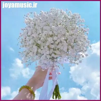 دانلود آهنگ گل های گل خونه ای