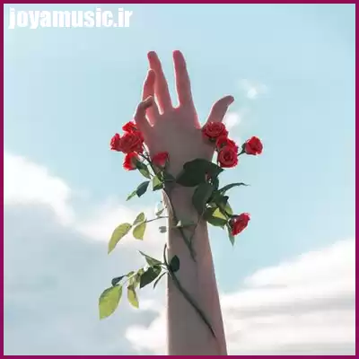 دانلود آهنگ واویلا لیلی دوست دارم خیلی دانلود آهنگ واویلا لیلی دوست دارم خیلی