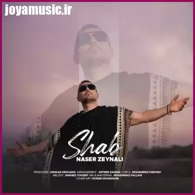 دانلود آهنگ ناصر زینعلی شب